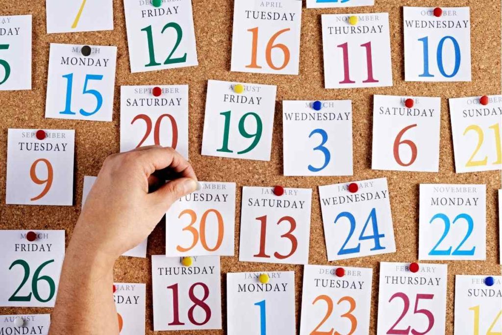 【国内日本語教師の1年】忙しい時期や入試時期なども説明